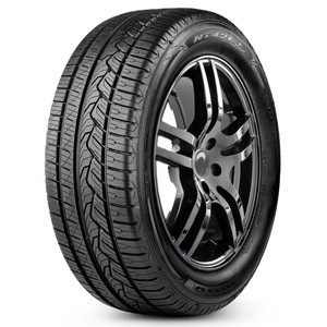 EAN 4981910795209, NITTO NT 421 XL, 225/55 R17 101 V