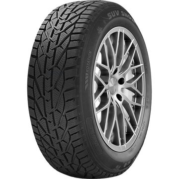 EAN 3528707889461, RIKEN SNOW, 215/65 R17 99 V